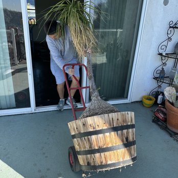 Prime Moving - Movers Near Me - Glendale, California Prime Moving - Movers Near Me - Glendale, California