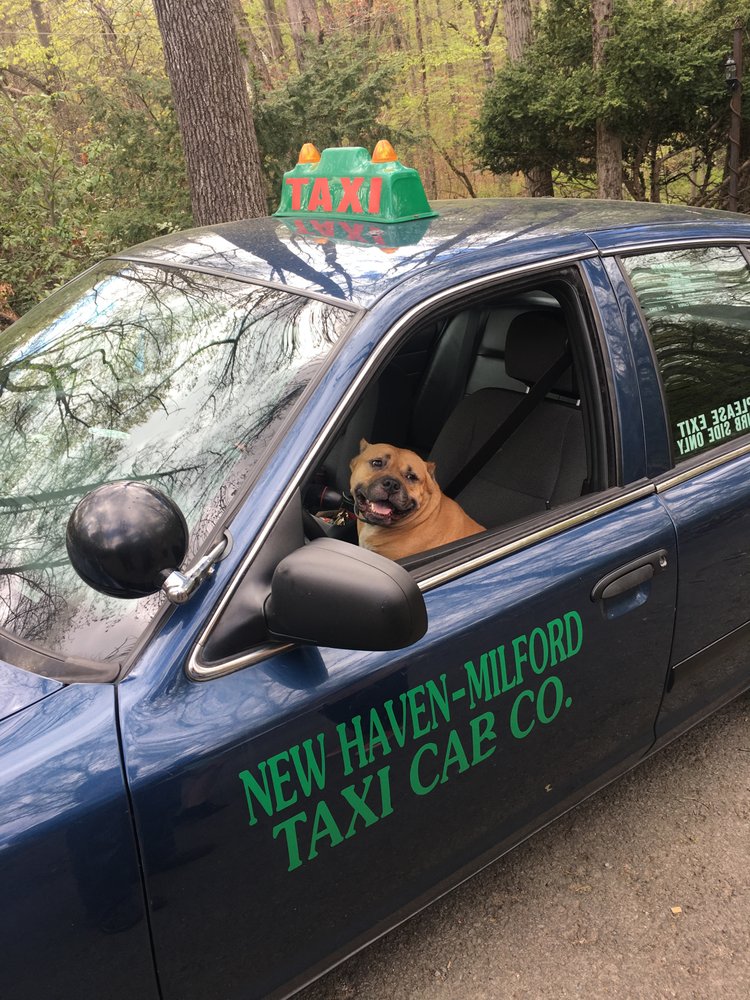 MILFORD TAXI & COURIER CO Updated September 2024 10 Reviews 524