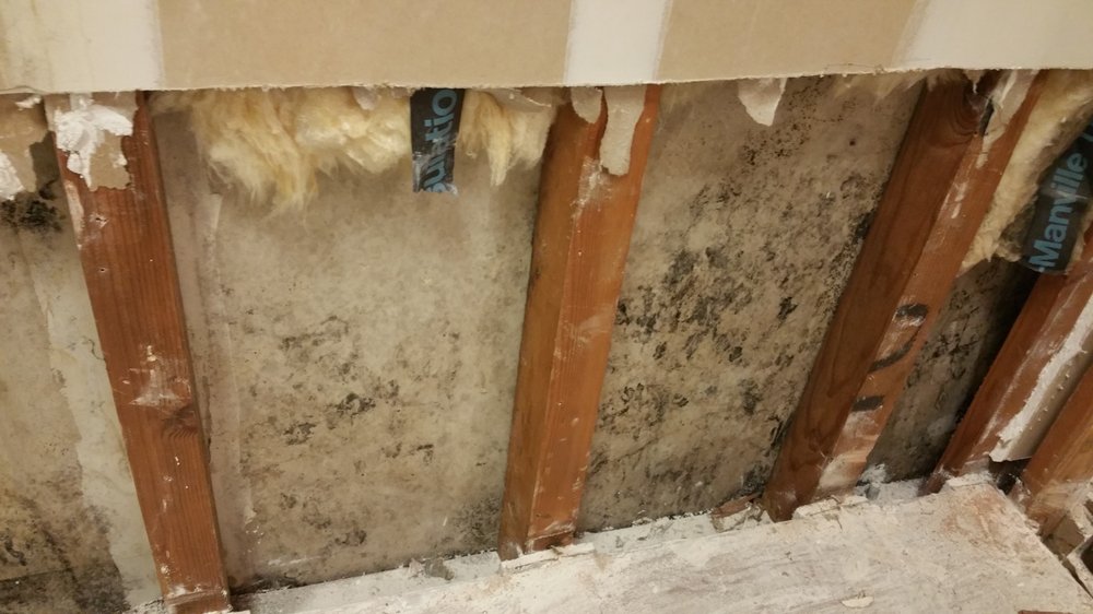 Safe Home Environmental - mold inspector in San Jose, CA