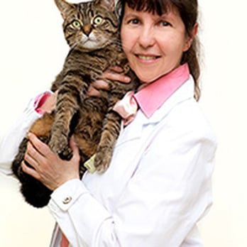 Summeridge Animal Clinic - Veterinarians Near Me - Vaughan, Ontario Summeridge Animal Clinic - Veterinarians Near Me - Vaughan, Ontario