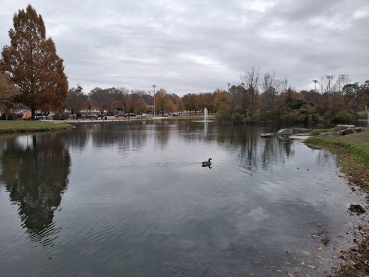 Avondale Park by null