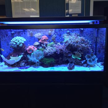 Eco Reef Corals - Local Fish Stores Near Me - Venice, Florida