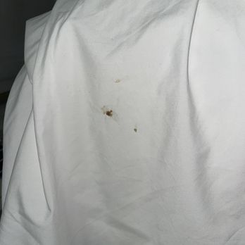 Holiday Inn Express & Suites Gainesville - The "clean" bed sheets I was given to spend the night in. - Hotels Near Me - Gainesville, Texas Holiday Inn Express & Suites Gainesville - The "clean" bed sheets I was given to spend the night in. - Hotels Near Me - Gainesville, Texas