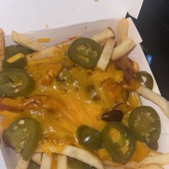 Wienerschnitzel - chili cheese fries with a dead roach - Fast Food Near Me - Glendale, Arizona Wienerschnitzel - chili cheese fries with a dead roach - Fast Food Near Me - Glendale, Arizona