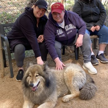 Sedona Wolf Sanctuary - A special moment with the Alpha female Larka!! - Community Service/Non-Profit Near Me - Sedona, Arizona Sedona Wolf Sanctuary - A special moment with the Alpha female Larka!! - Community Service/Non-Profit Near Me - Sedona, Arizona