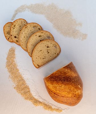 When Pigs Fly Breads by null