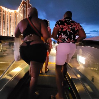 Flamingo Las Vegas - Hotels Near Me - Las Vegas, Nevada