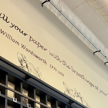 Wildflour - Above The Encouragement Wall - Bubble Tea Near Me - Cadillac, Michigan Wildflour - Above The Encouragement Wall - Bubble Tea Near Me - Cadillac, Michigan