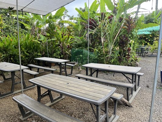 Garden of Eden Arboretum by null