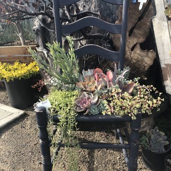 Waterwise Botanicals - Nurseries & Gardening Near Me - Bonsall, California Waterwise Botanicals - Nurseries & Gardening Near Me - Bonsall, California