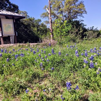 Friedrich Wilderness Park - Parks Near Me - San Antonio, Texas Friedrich Wilderness Park - Parks Near Me - San Antonio, Texas