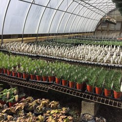 Winding Creek Nursery & Garden Center