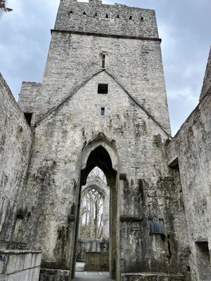 Muckross Abbey by null