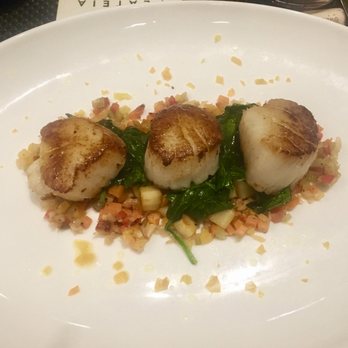 Plateia - Scallops (delicious!) - Mediterranean Near Me - Los Angeles, California