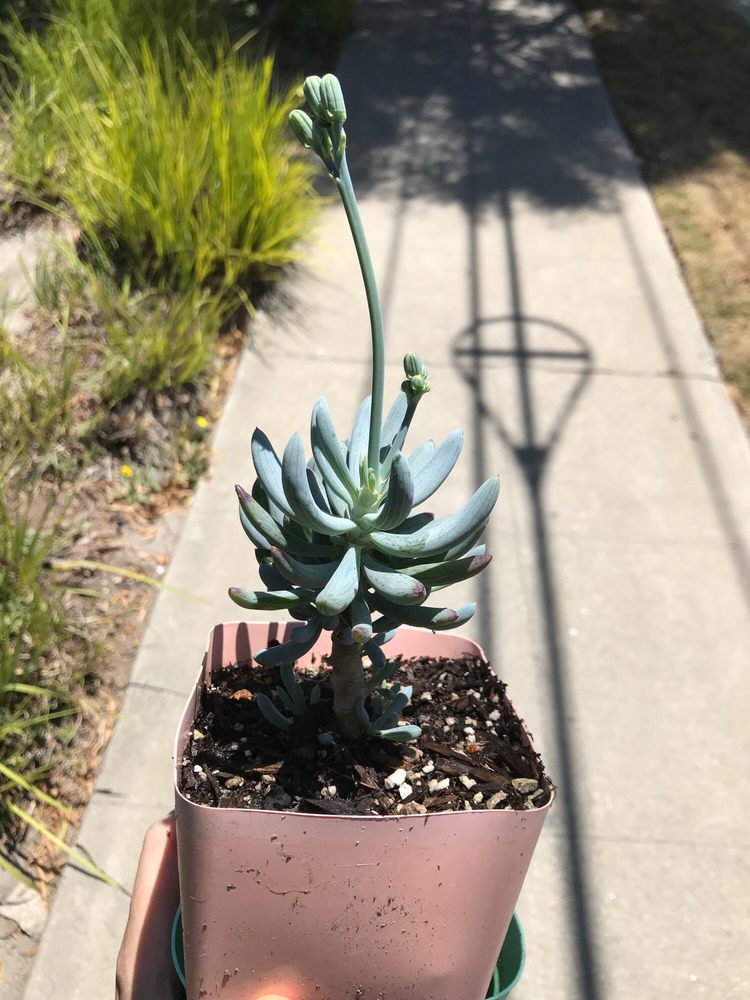 FIRST IMAGE NURSERY 38 Photos & 15 Reviews 2700 S Fairfax Ave, Los