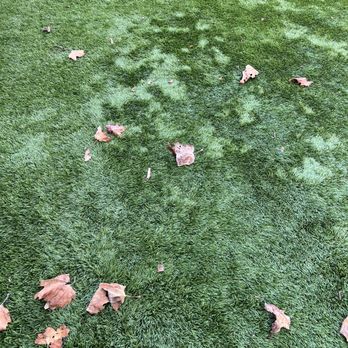 Heavenly Greens - Artificial Turf Near Me - San Jose, California