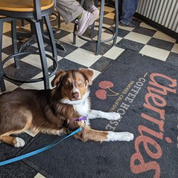 Wild Cherries Coffee House - Love Wild Cherries being dog friendly. Little Burton loves going there to get his morning cup of java to keep him energized all day!