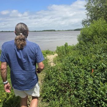 Delta Bohemian Tours - Looking at the Mississippi River - Tours Near Me - Clarksdale, Mississippi Delta Bohemian Tours - Looking at the Mississippi River - Tours Near Me - Clarksdale, Mississippi