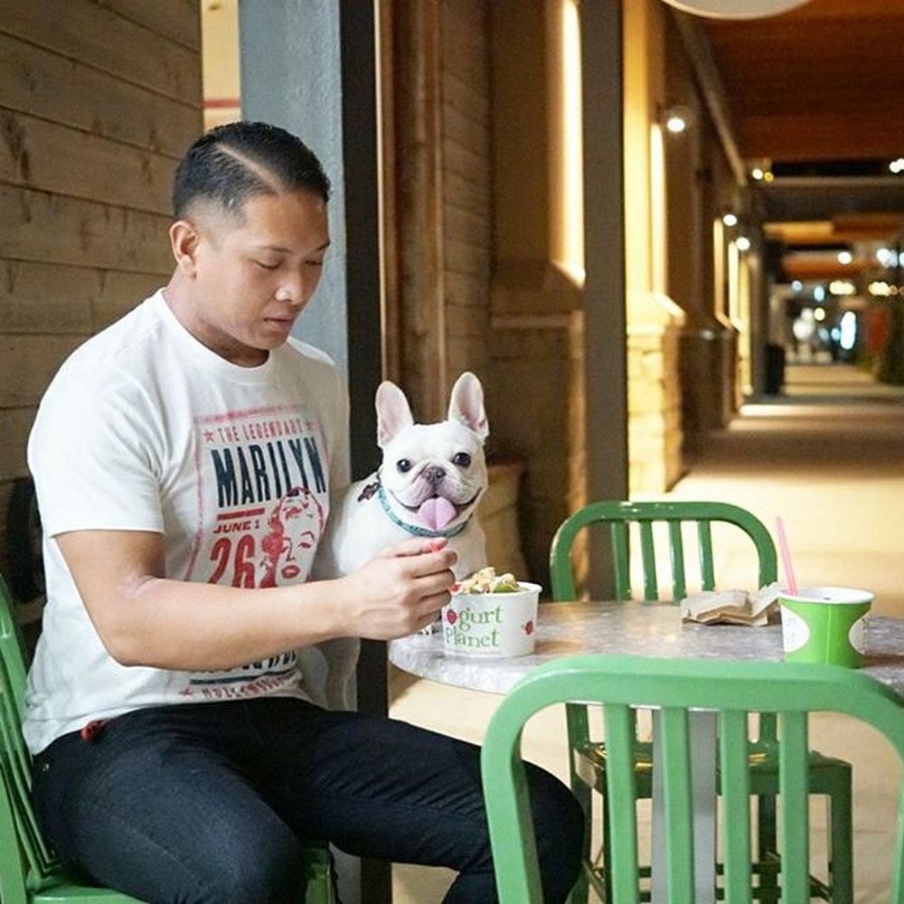 a man sitting at a table with a dog a man sitting at a table with a dog