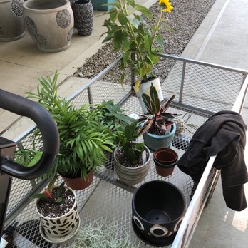 Groovy Plants Ranch - Nurseries & Gardening Near Me - Marengo, Ohio