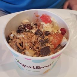 Yoghurt Yoghurt