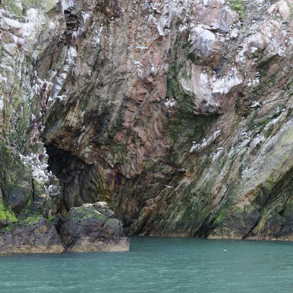 Ireland's Eye Ferries - Tours Near Me - Howth, D