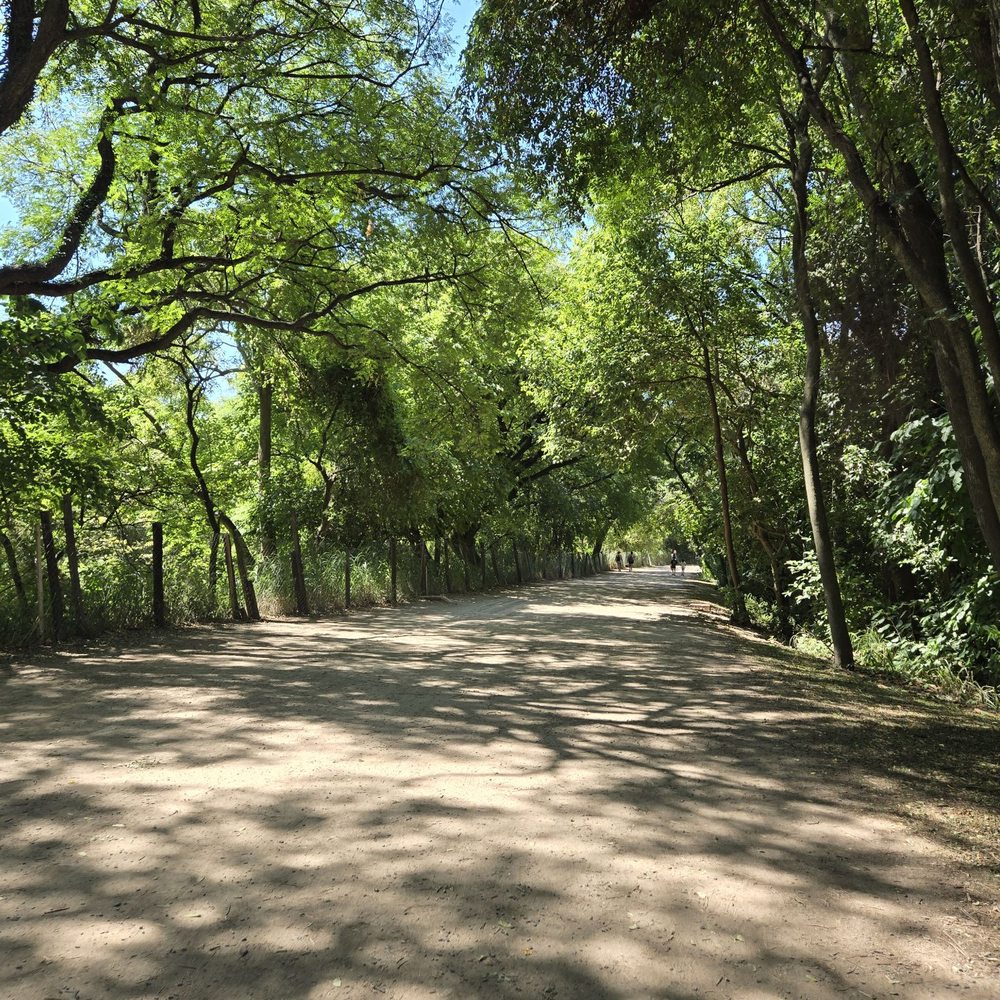 Reserva Ecológica - Botanical Gardens Near Me - Buenos Aires, C