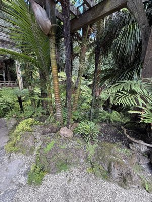 Auckland Domain by null