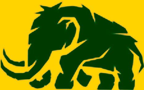 Slide of Mammoth Solutions