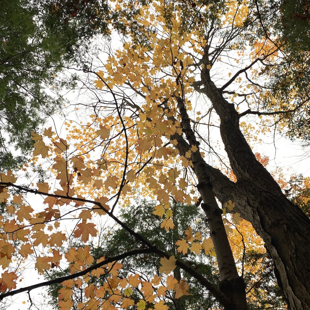 Sunnybrook Park Image