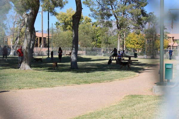Craig Ranch Regional Park by null