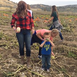 Burley Straw Maze