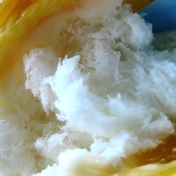 Salju Dessert - DURIAN Snow w/Condensed Milk, Jack Fruit & Lychee Jelly - Desserts Near Me - Alhambra, California Salju Dessert - DURIAN Snow w/Condensed Milk, Jack Fruit & Lychee Jelly - Desserts Near Me - Alhambra, California