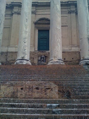 Roman Forum by null