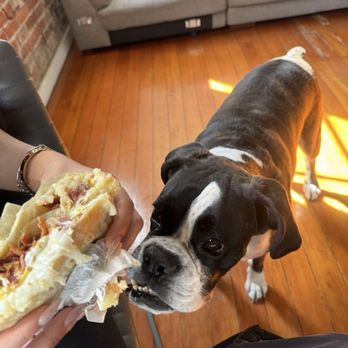 Las Chicas Fresas - My dog approving the burrito - Mexican Near Me - Pomona, California Las Chicas Fresas - My dog approving the burrito - Mexican Near Me - Pomona, California