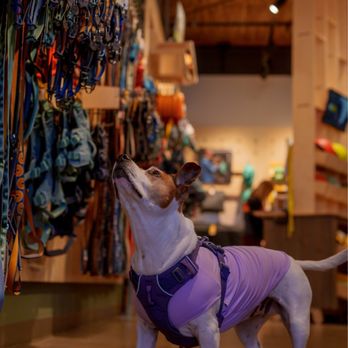 Ruffwear Retail Store - Pet Stores Near Me - Bend, Oregon Ruffwear Retail Store - Pet Stores Near Me - Bend, Oregon