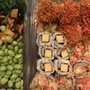 Sushi Shop Brookfield Place