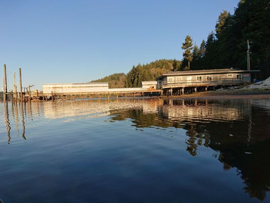 Oregon Oyster Farms by null