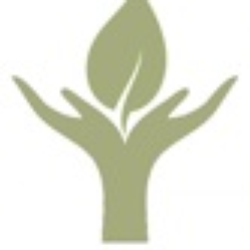 Organic Knead