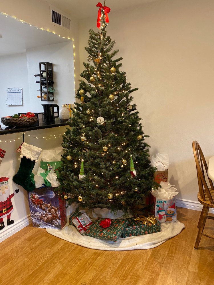 COZZOLINO’S CHRISTMAS TREES TEMP. CLOSED Updated September 2024