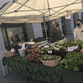 Everything Under the Sun - Ferry farmers market, Tuesday - Farmers Market Near Me Everything Under the Sun - Ferry farmers market, Tuesday - Farmers Market Near Me