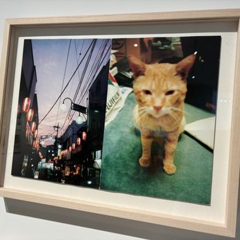 The Photographers' Gallery - Art Galleries Near Me - London, XGL The Photographers' Gallery - Art Galleries Near Me - London, XGL