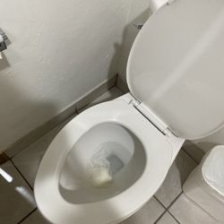 Americas Best Value Inn Bishop - Toilet doesn't flush