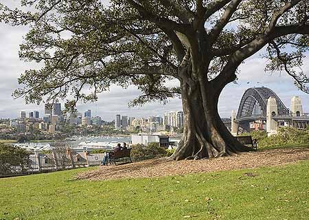 Observatory Hill Park by null