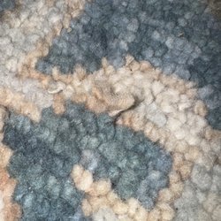 Weston Carpet & Rugs - Pull