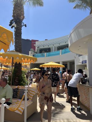 LIV Beach Las Vegas by null