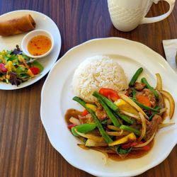 Lunch Combo $15.50 (11:30am-2:30pm) including rice, salad and spring roll