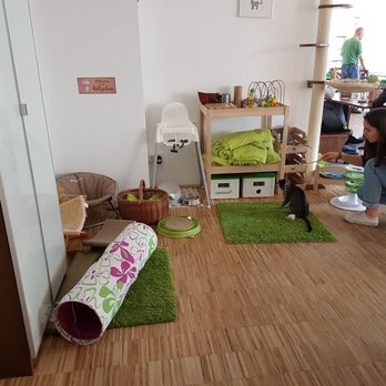 Cafe Katzentempel - Tolle Spielecke - Vegan Near Me - Nuremberg, BY