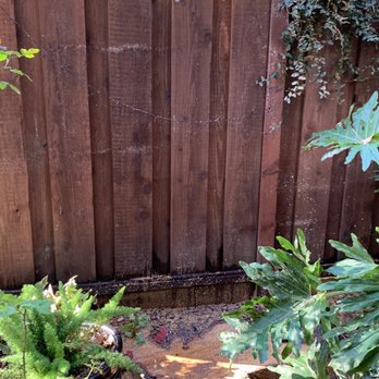 One Two Tree Care - After (I requested to keep the stump) - Tree Services Near Me - Tracy, California