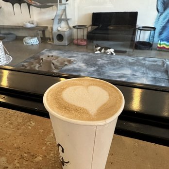 Cat & Craft - Honey Lavender Oat Latte - Coffee & Tea Near Me - Vista, California Cat & Craft - Honey Lavender Oat Latte - Coffee & Tea Near Me - Vista, California